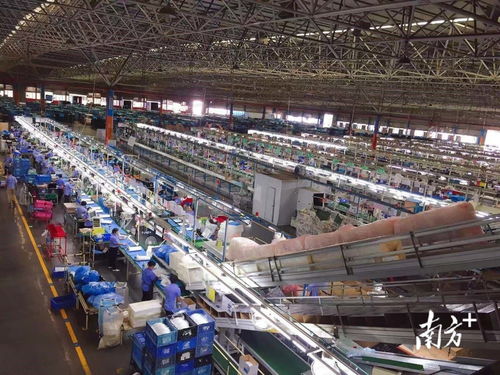 出口破50亿元,税收优惠助东凤小家电行业起航