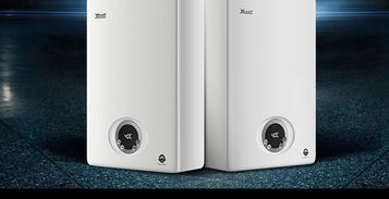 林内燃气热水器rus c10e32ar f 10升冷凝精控恒温 热水器 大家电 家用电器 手机 大家电 神利家 线上一站式家庭服务平台