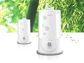 阳光普照节日临近 优质生活小家电打造