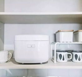 这 8 款高颜值小家电,让你每天多休息一小时